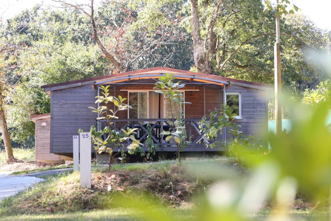 Camping Le Ruisseau Saint-André-de-Seignaux 外观 照片