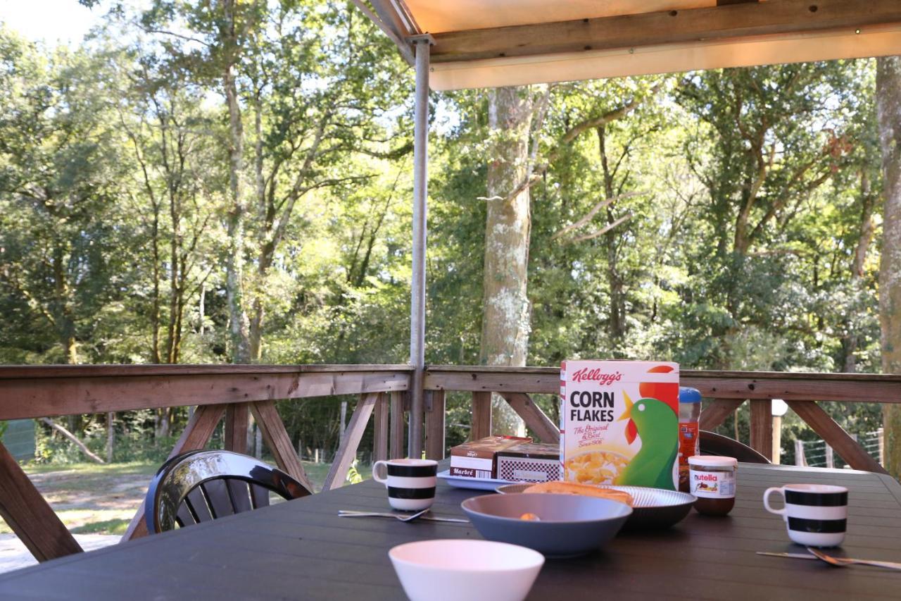 Camping Le Ruisseau Saint-André-de-Seignaux 外观 照片