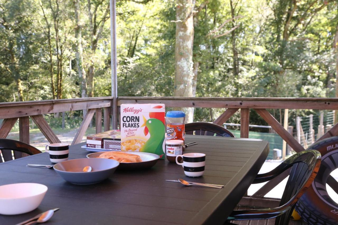 Camping Le Ruisseau Saint-André-de-Seignaux 外观 照片