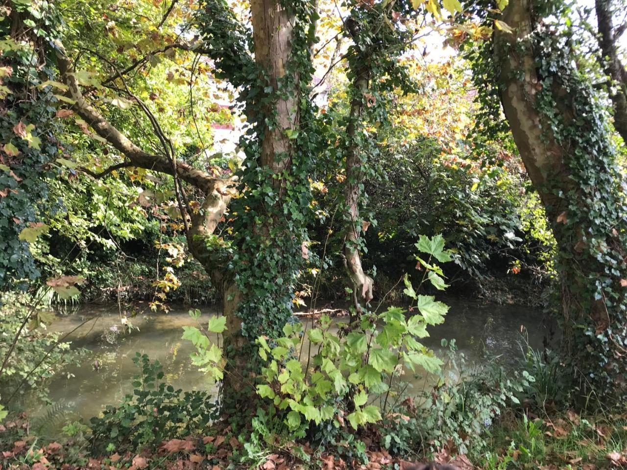 Camping Le Ruisseau Saint-André-de-Seignaux 外观 照片
