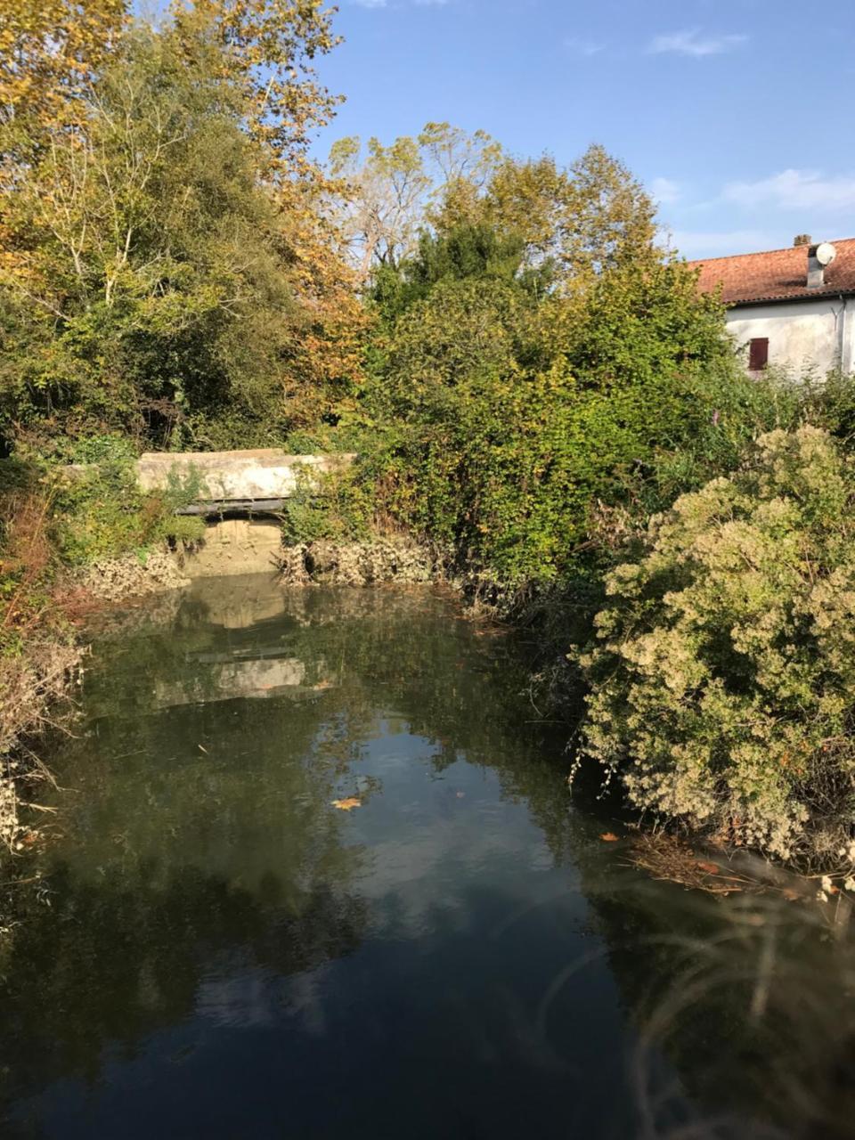Camping Le Ruisseau Saint-André-de-Seignaux 外观 照片